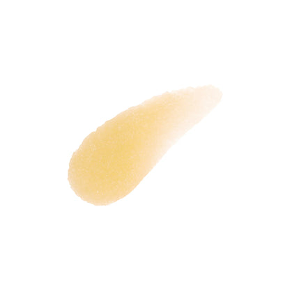 Lip Scrub - Lemon Icebox Cookies